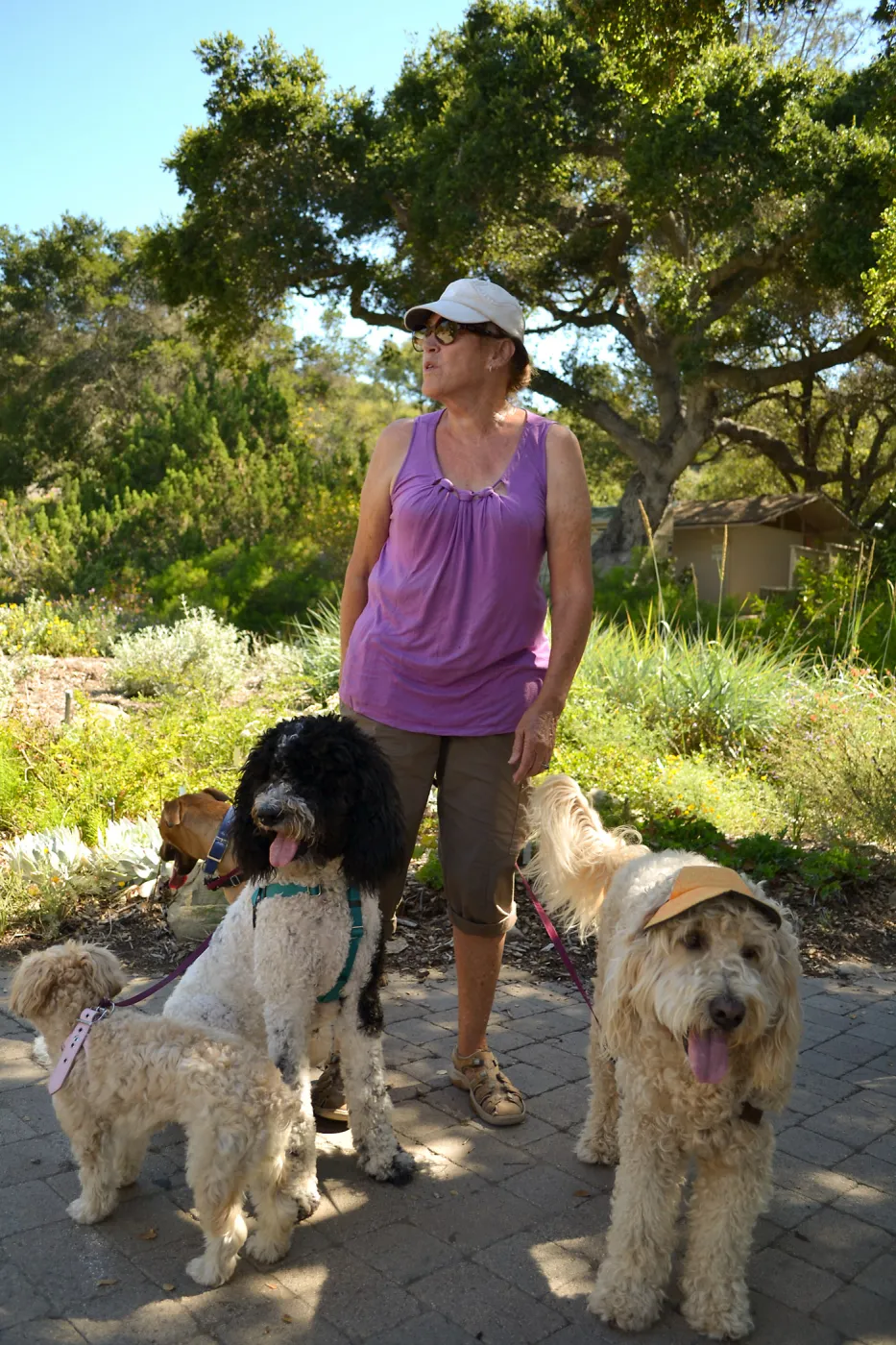 Trails n Tails 2015