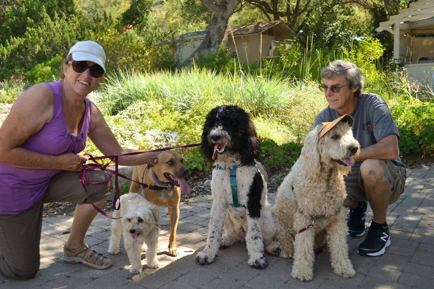 Trails n Tails 2015