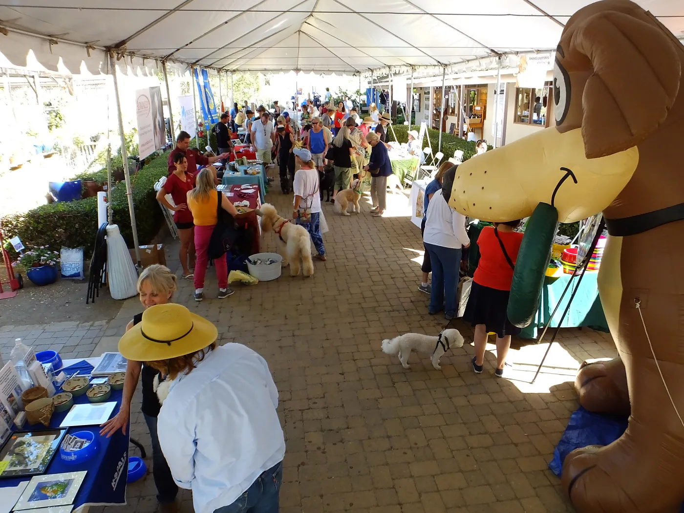 Trails n Tails 2015 Vendors in Courtyard