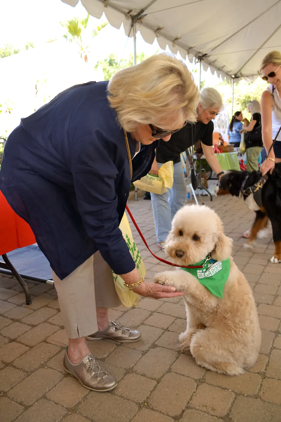 Trails n Tails 2015