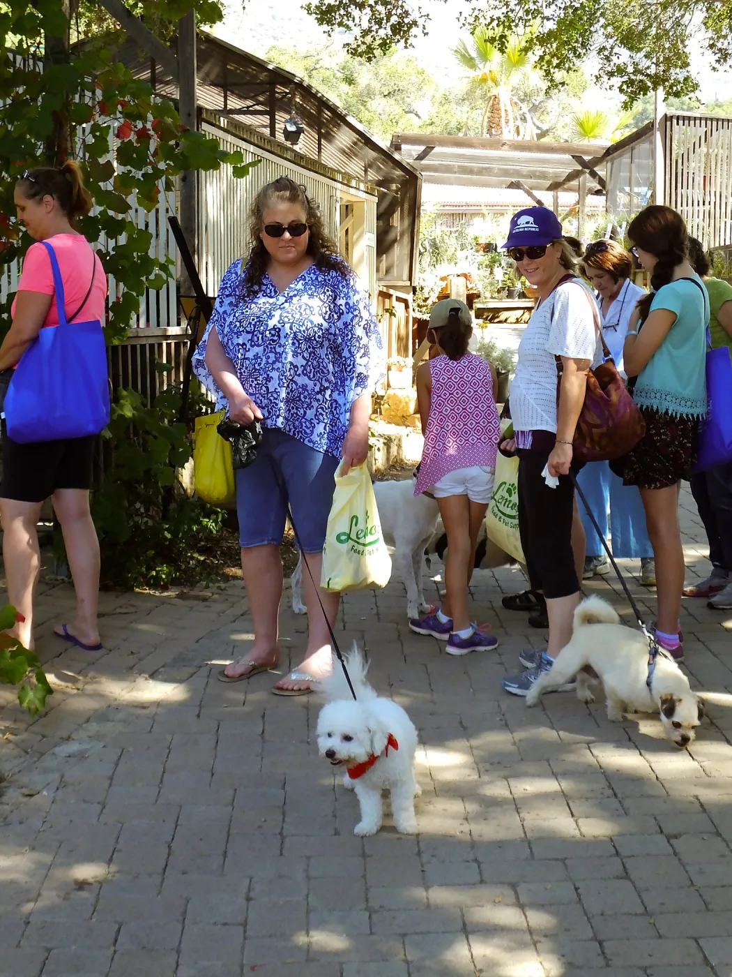Trails n Tails 2015