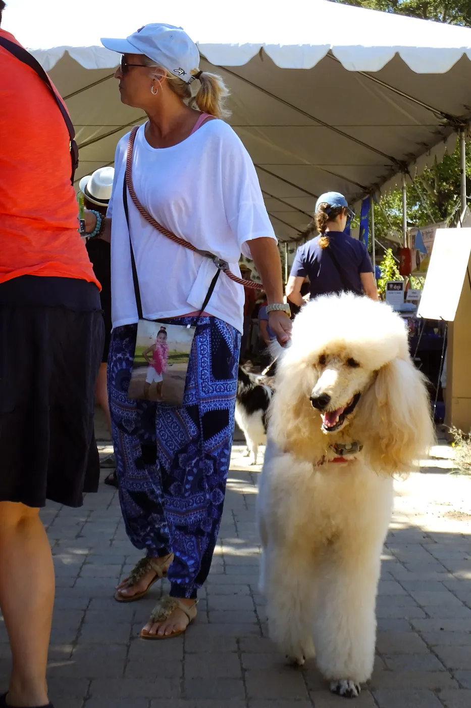 Trails n Tails 2015
