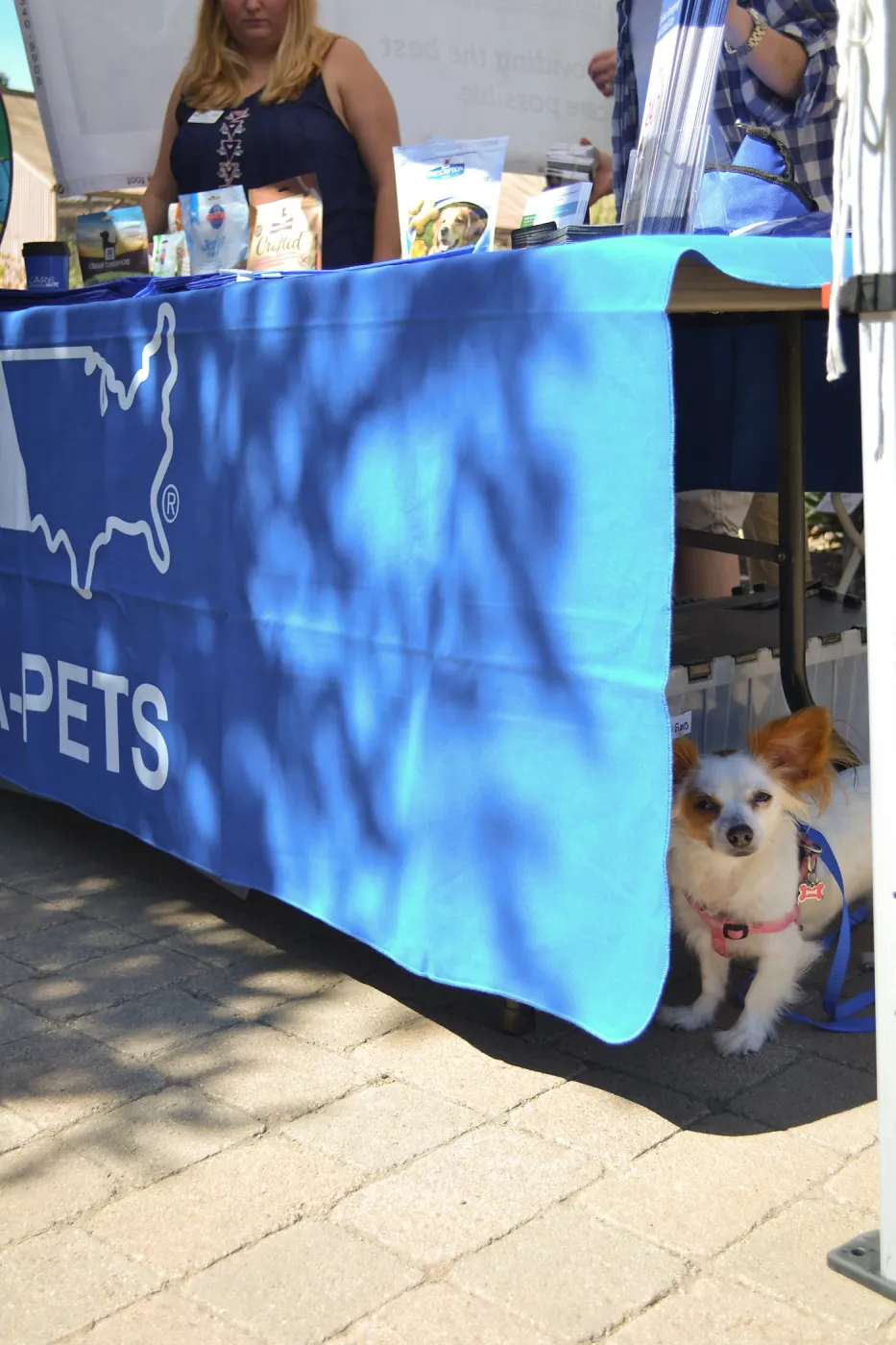 Trails n Tails 2015