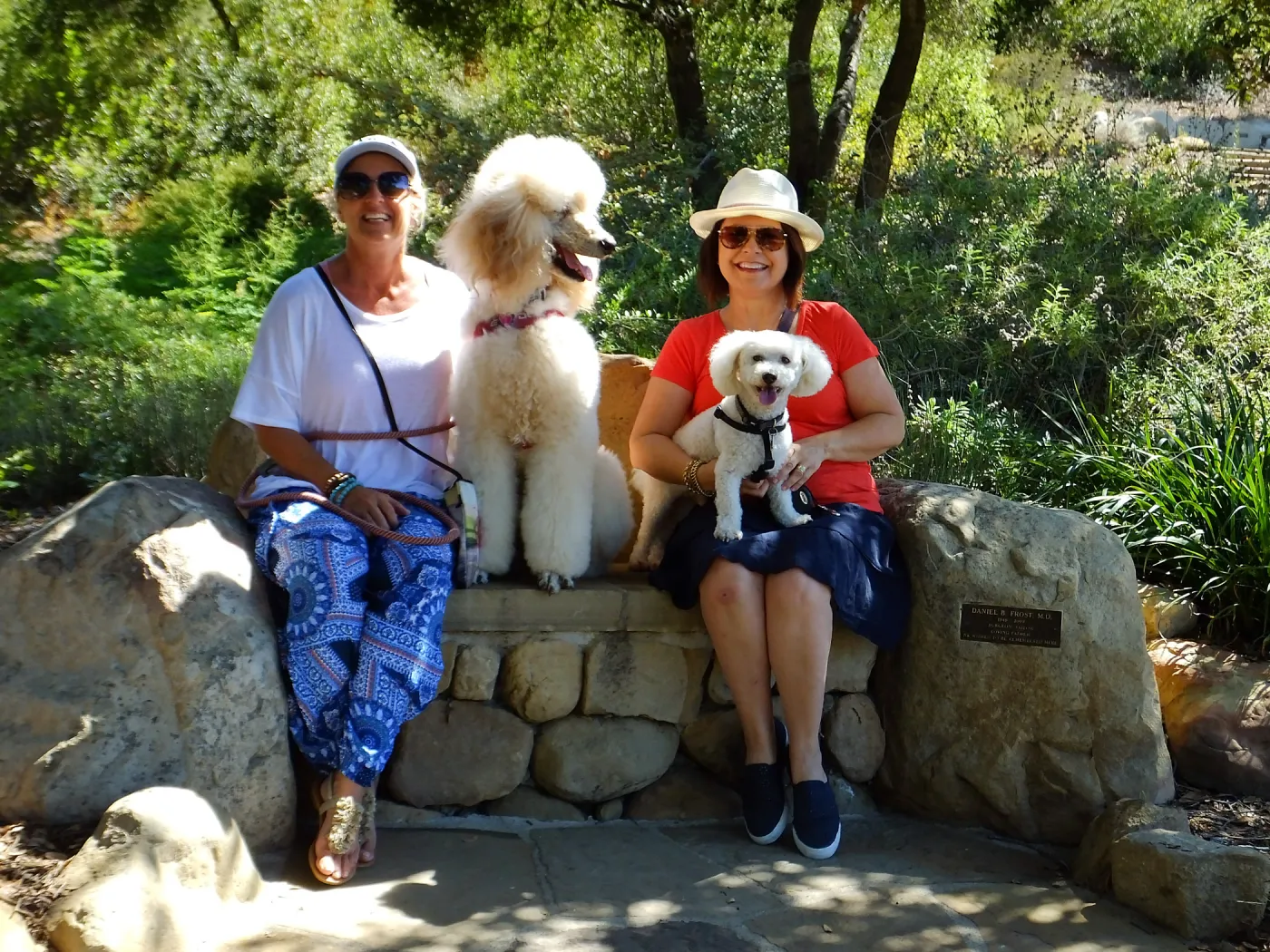 Trails n Tails 2015