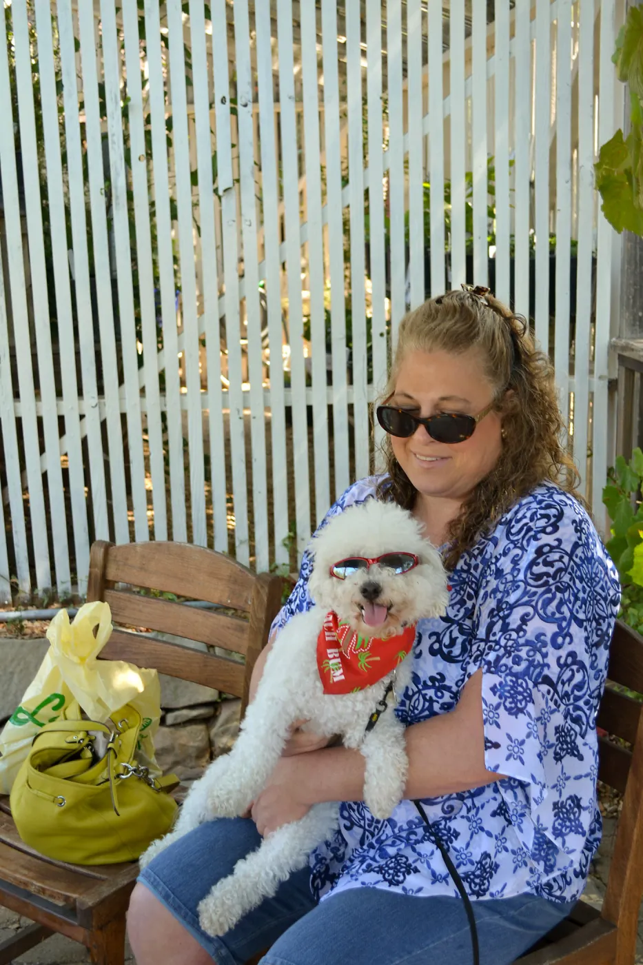 Trails n Tails 2015