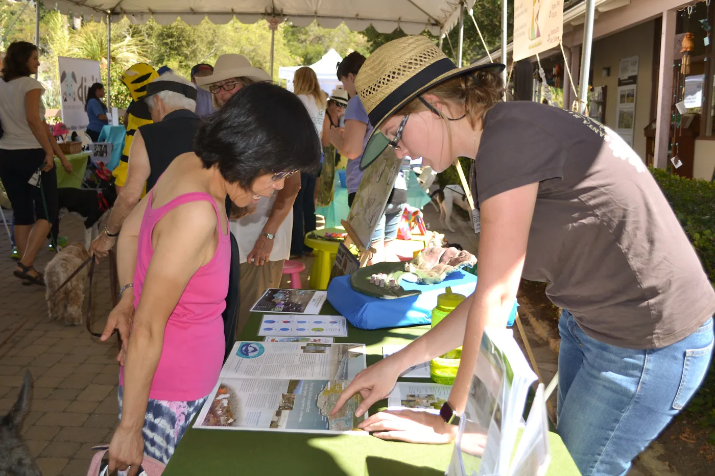 Trails n Tails 2015, watershed information table