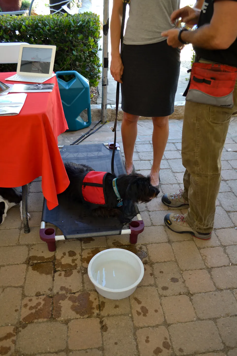Trails n Tails 2015