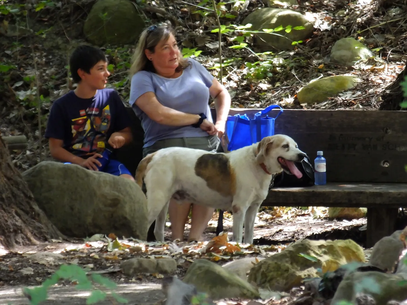 Trails n Tails 2015