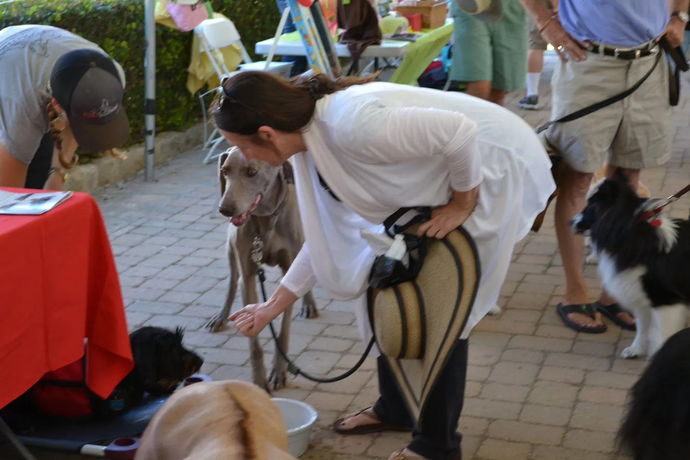 Trails n Tails 2015