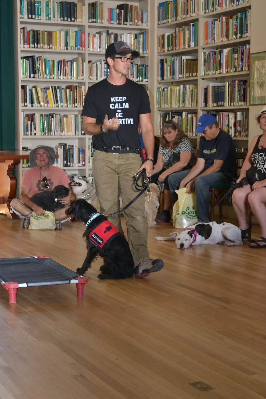 Trails n Tails 2015, dog obedience training demo