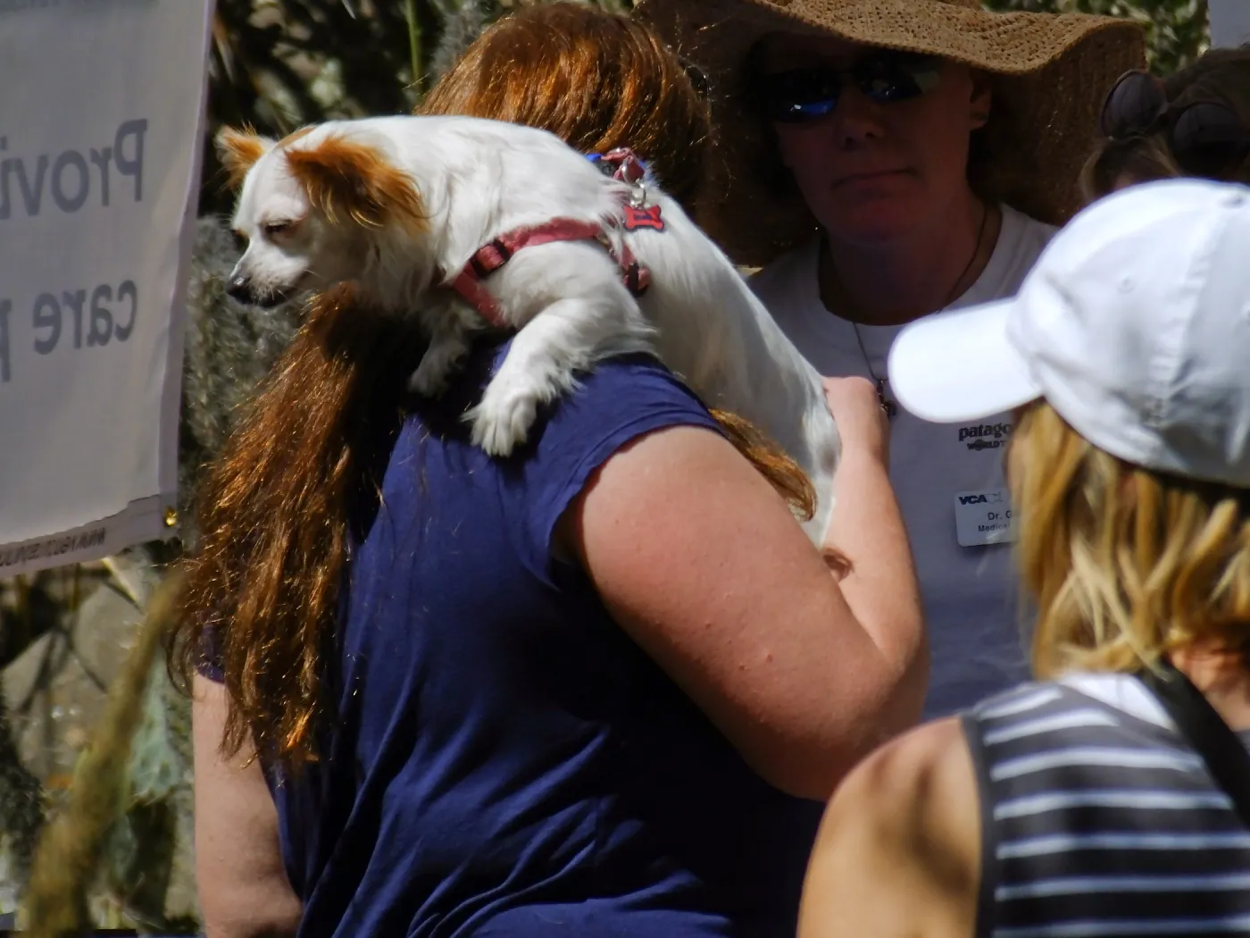 Trails n Tails 2015