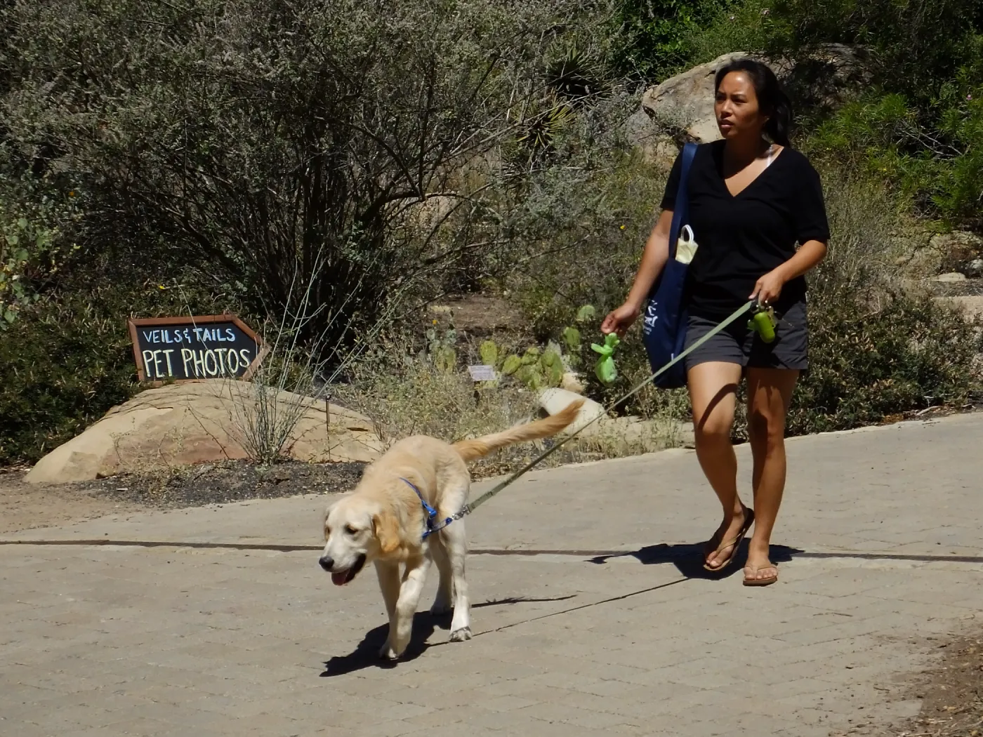 Trails n Tails 2015