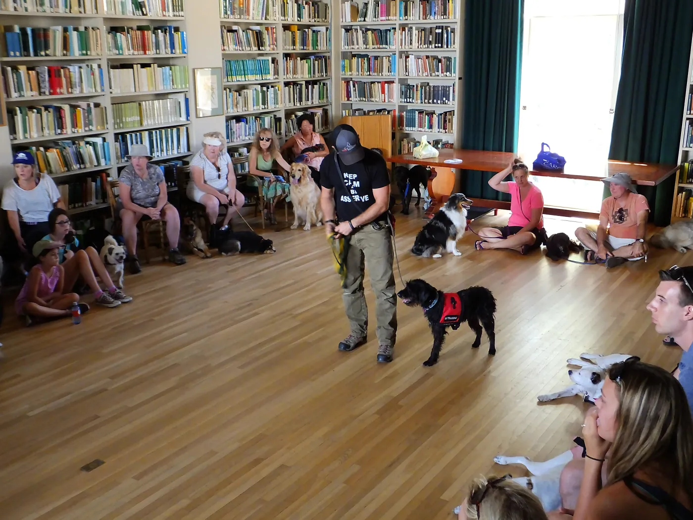 Trails n Tails 2015, dog obedience training demo
