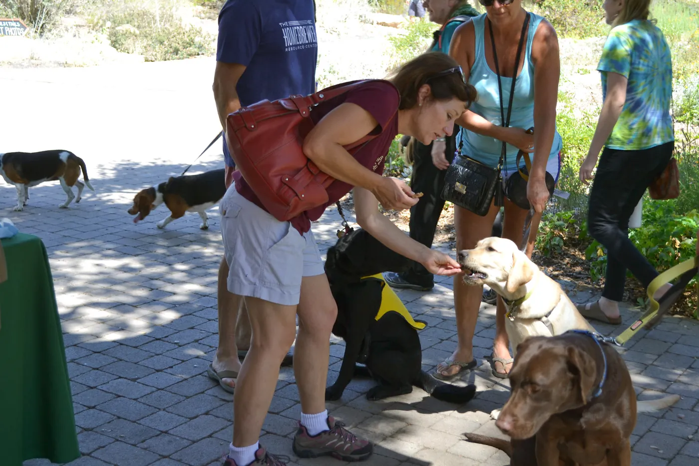 Trails n Tails 2015