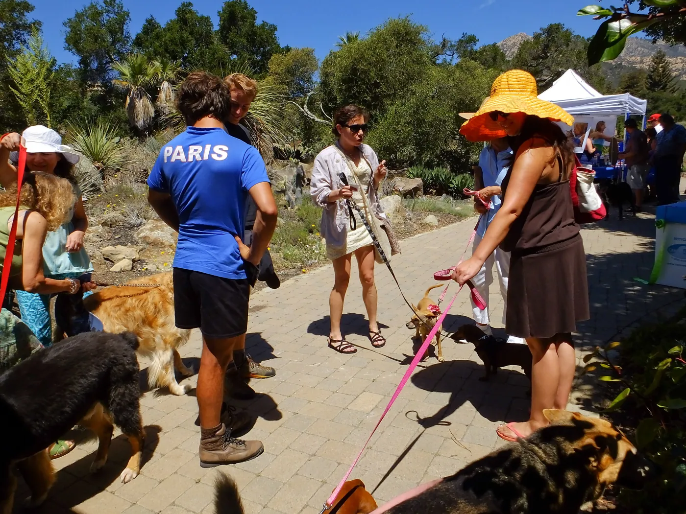 Trails n Tails 2015