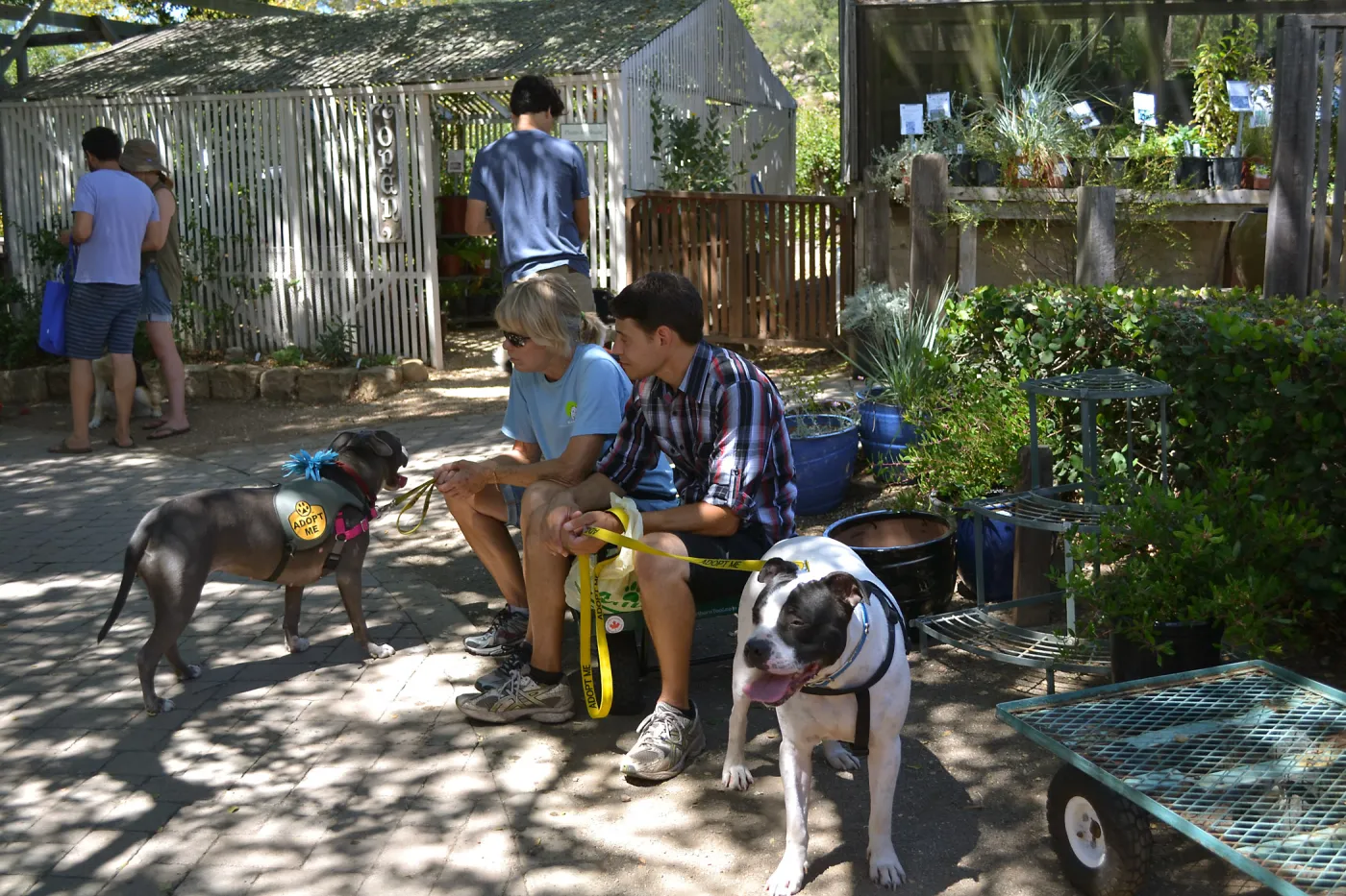 Trails n Tails 2015