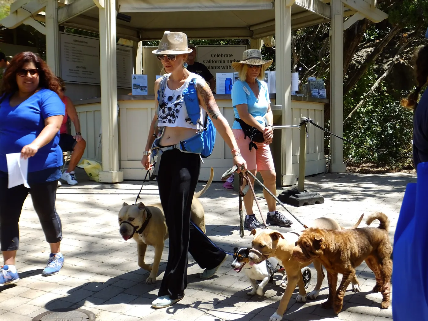 Trails n Tails 2015