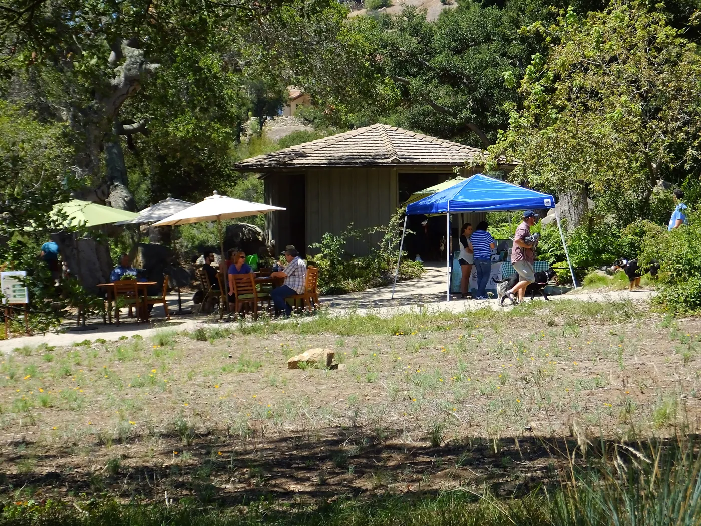 Trails n Tails 2015
