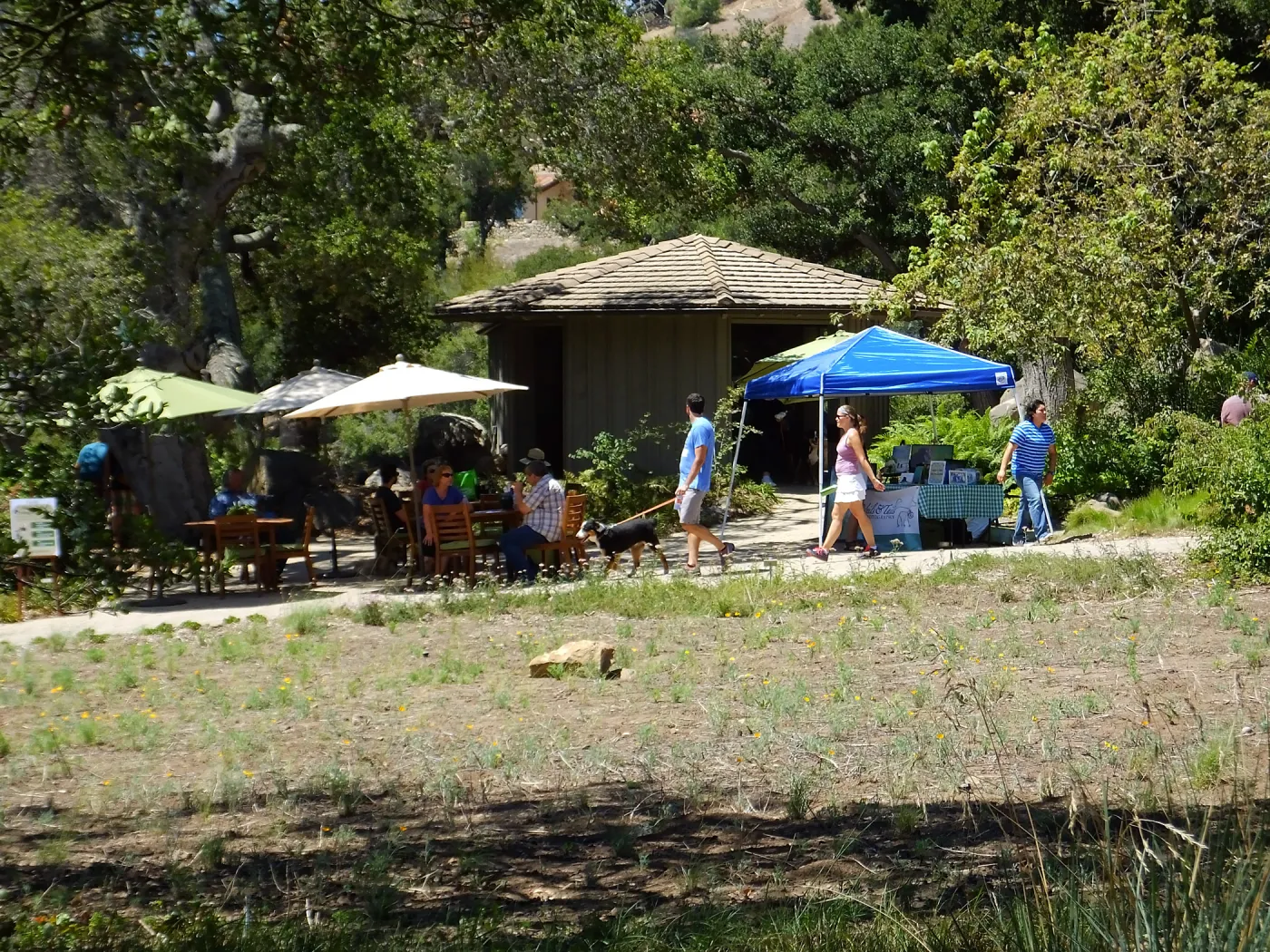 Trails n Tails 2015