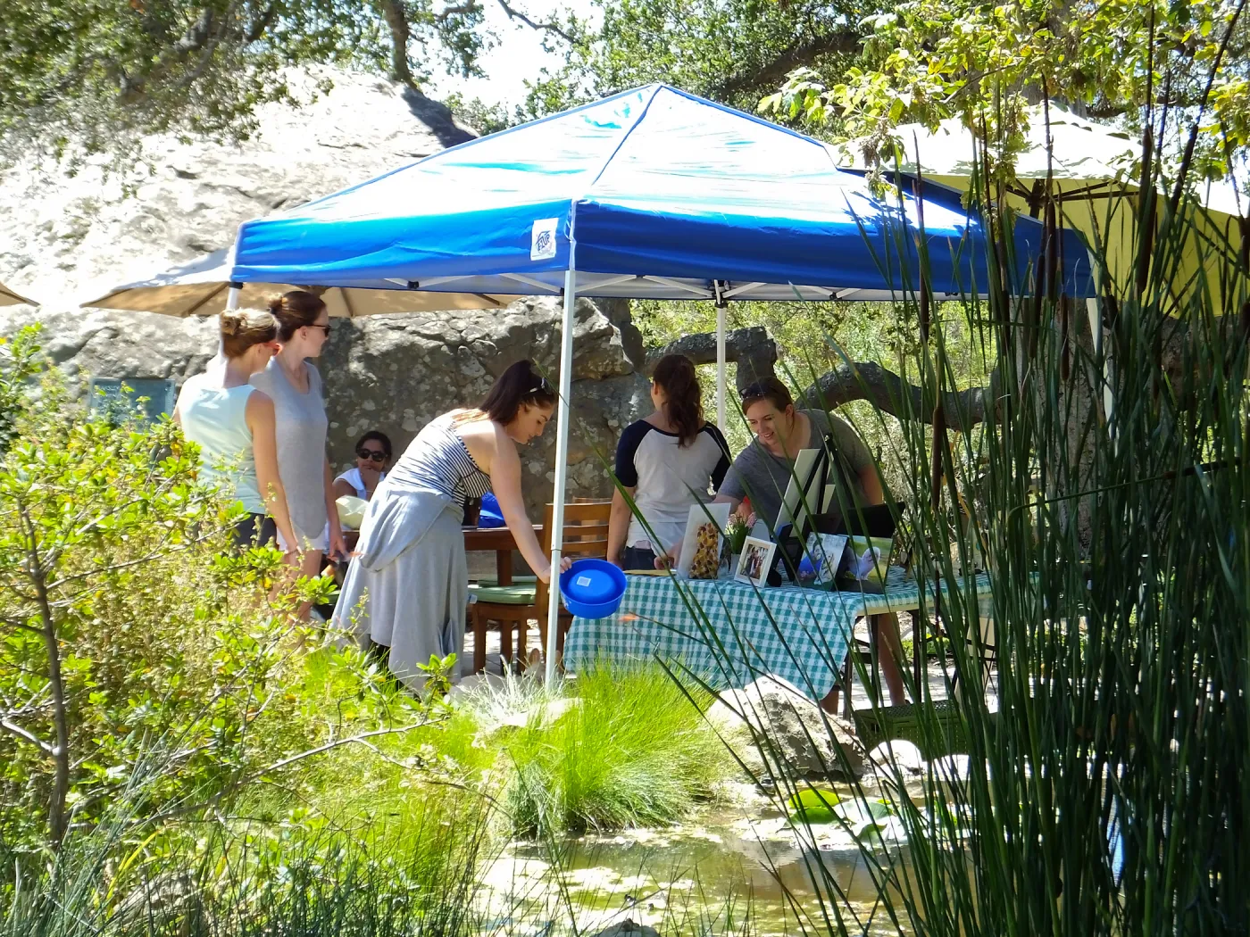 Trails n Tails 2015, Veils & Tails photographer exhibit