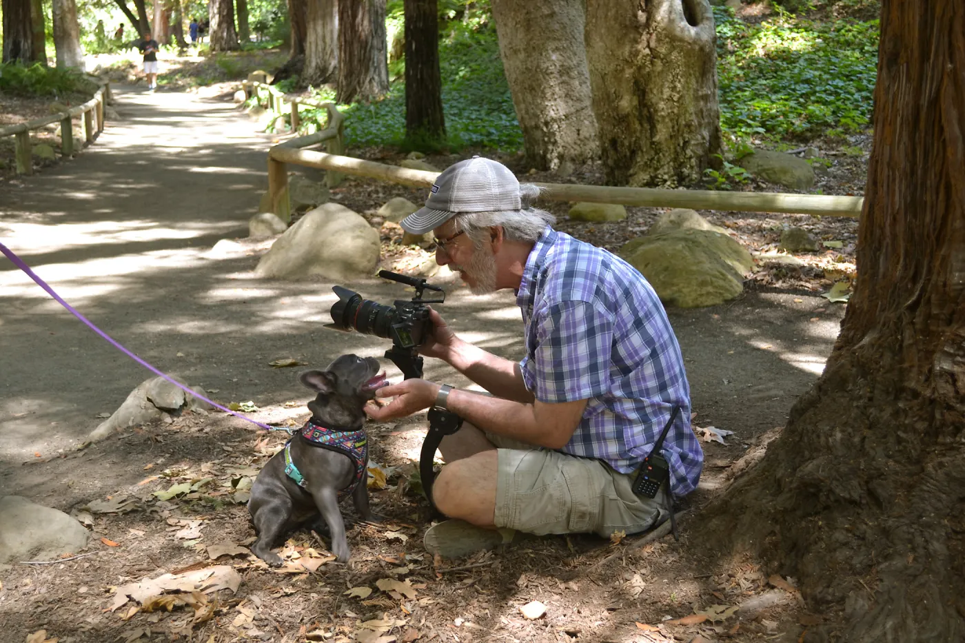 Trails n Tails 2015