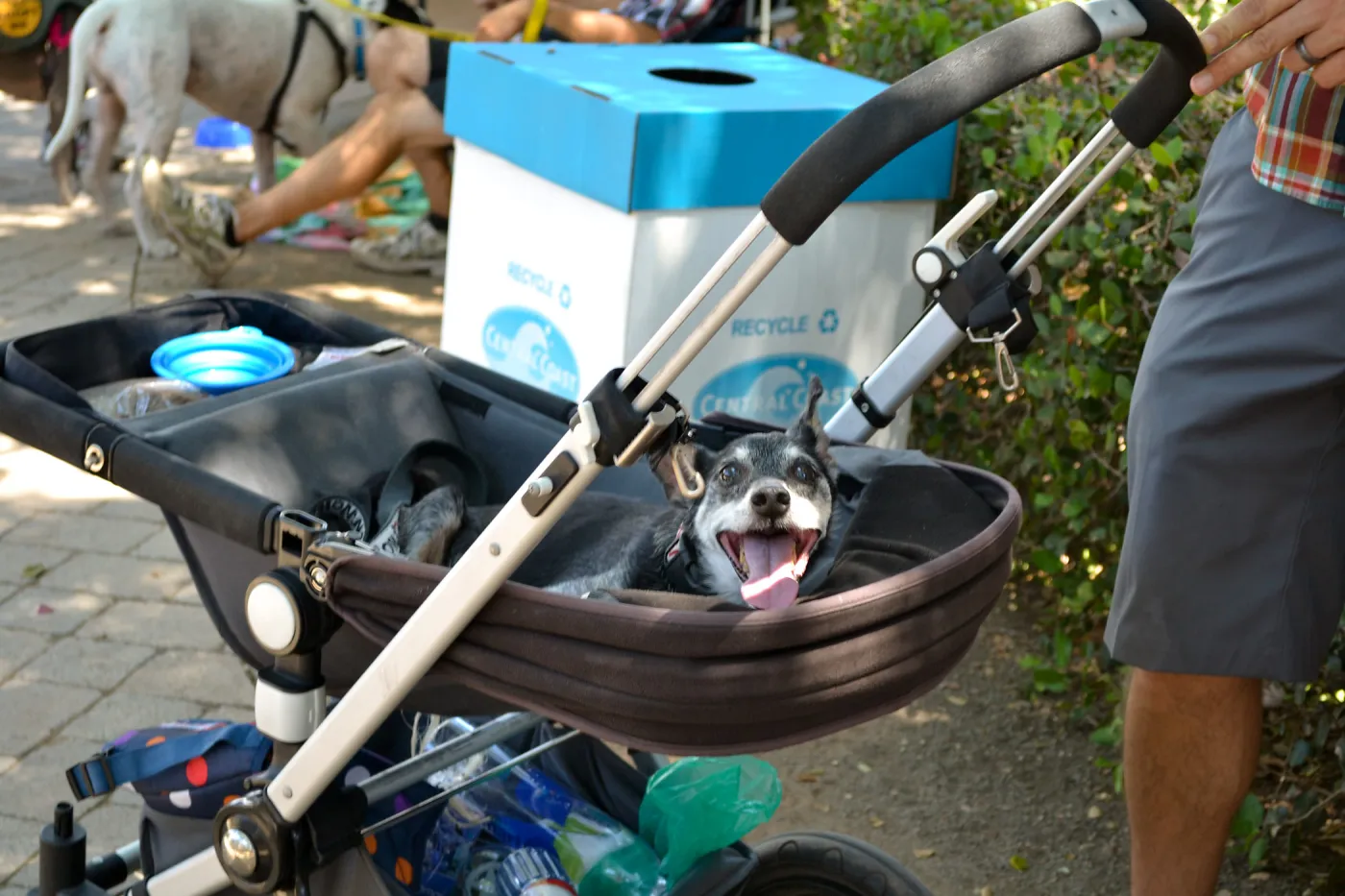 Trails n Tails 2015