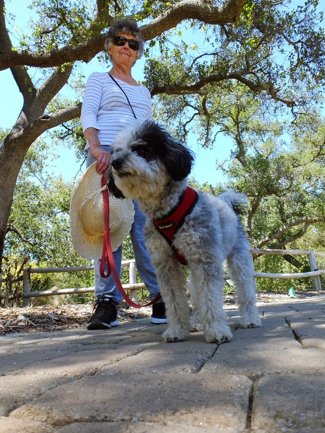 Trails n Tails 2015