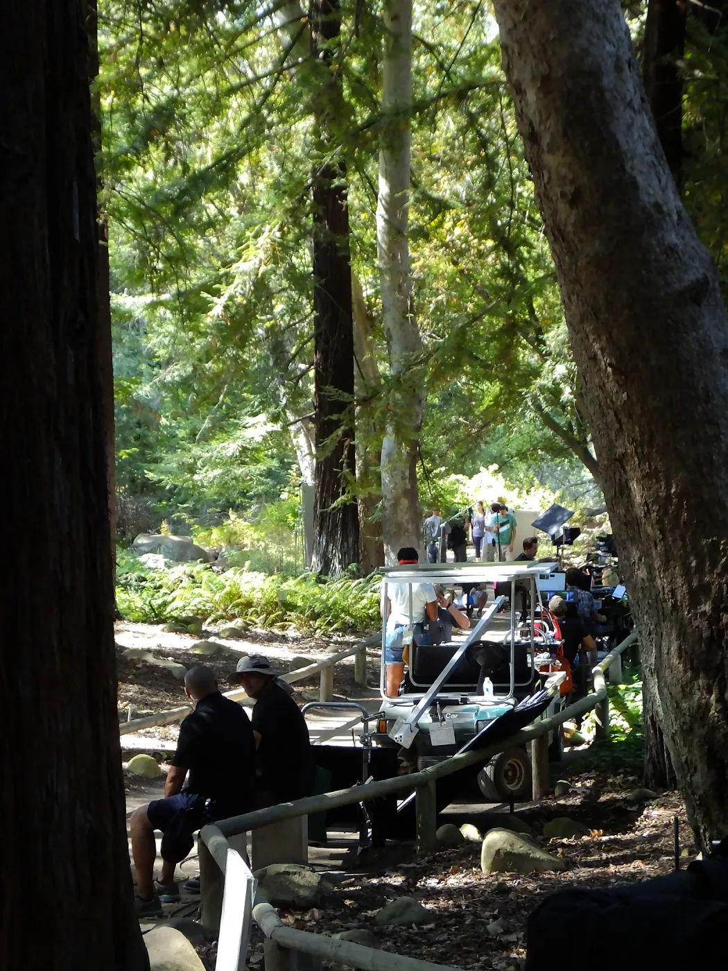 Sunsweet® Commercial Shoot