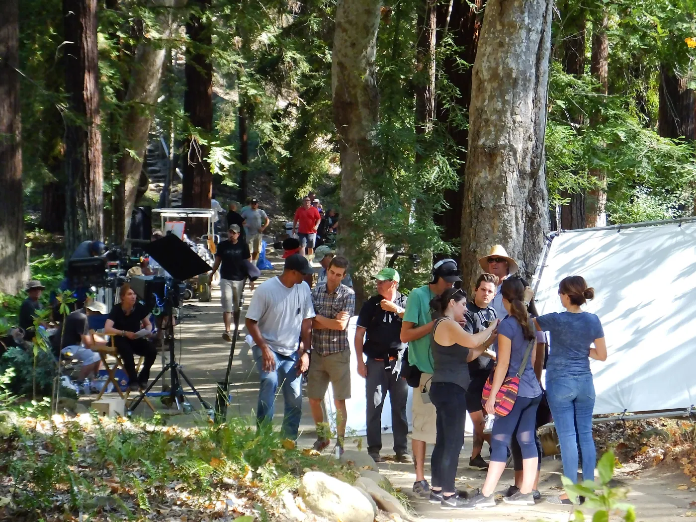 Sunsweet® Commercial Shoot