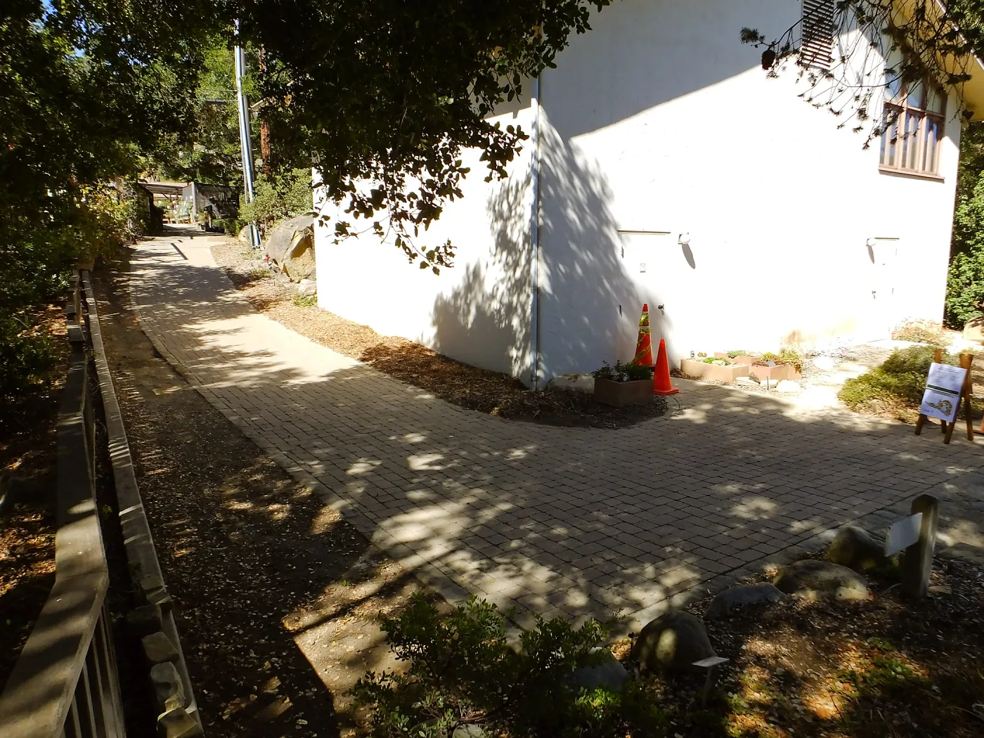 Home Demonstration Garden Renovation, view 31, looking towards southwest corner of Herbarium, before path demolition