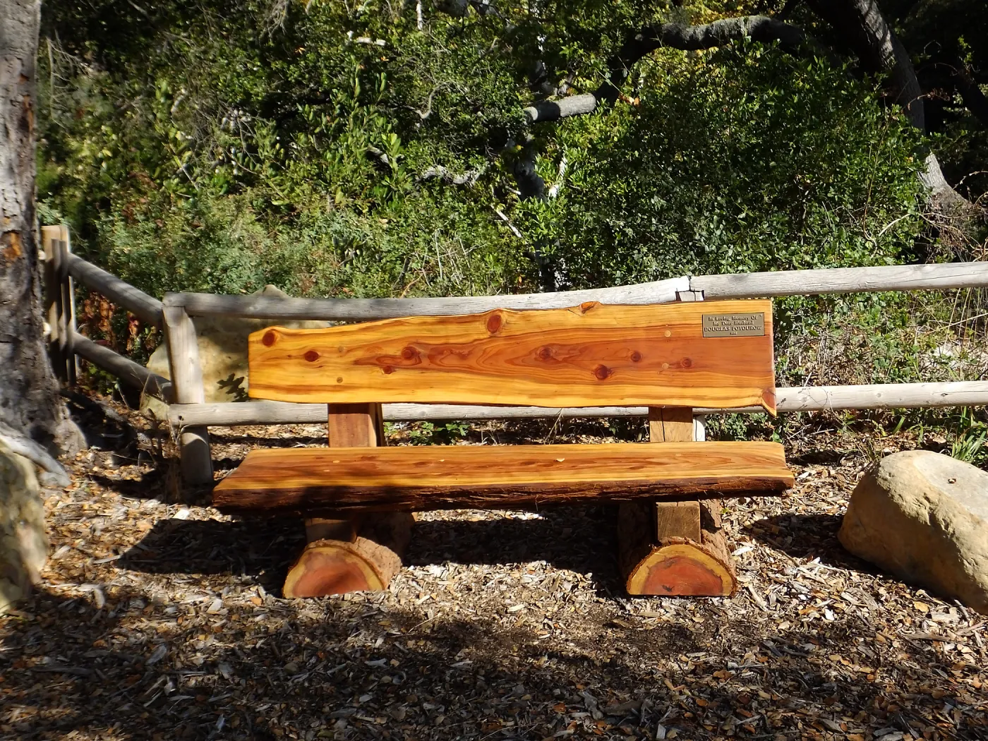 Douglas Poyourow bench shortly after installation