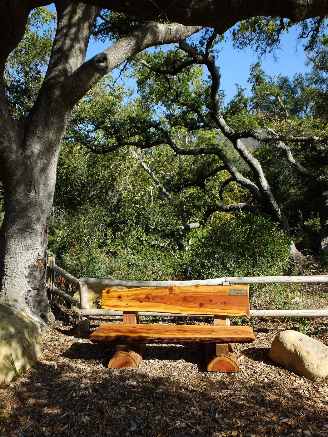 Douglas Poyourow bench shortly after installation