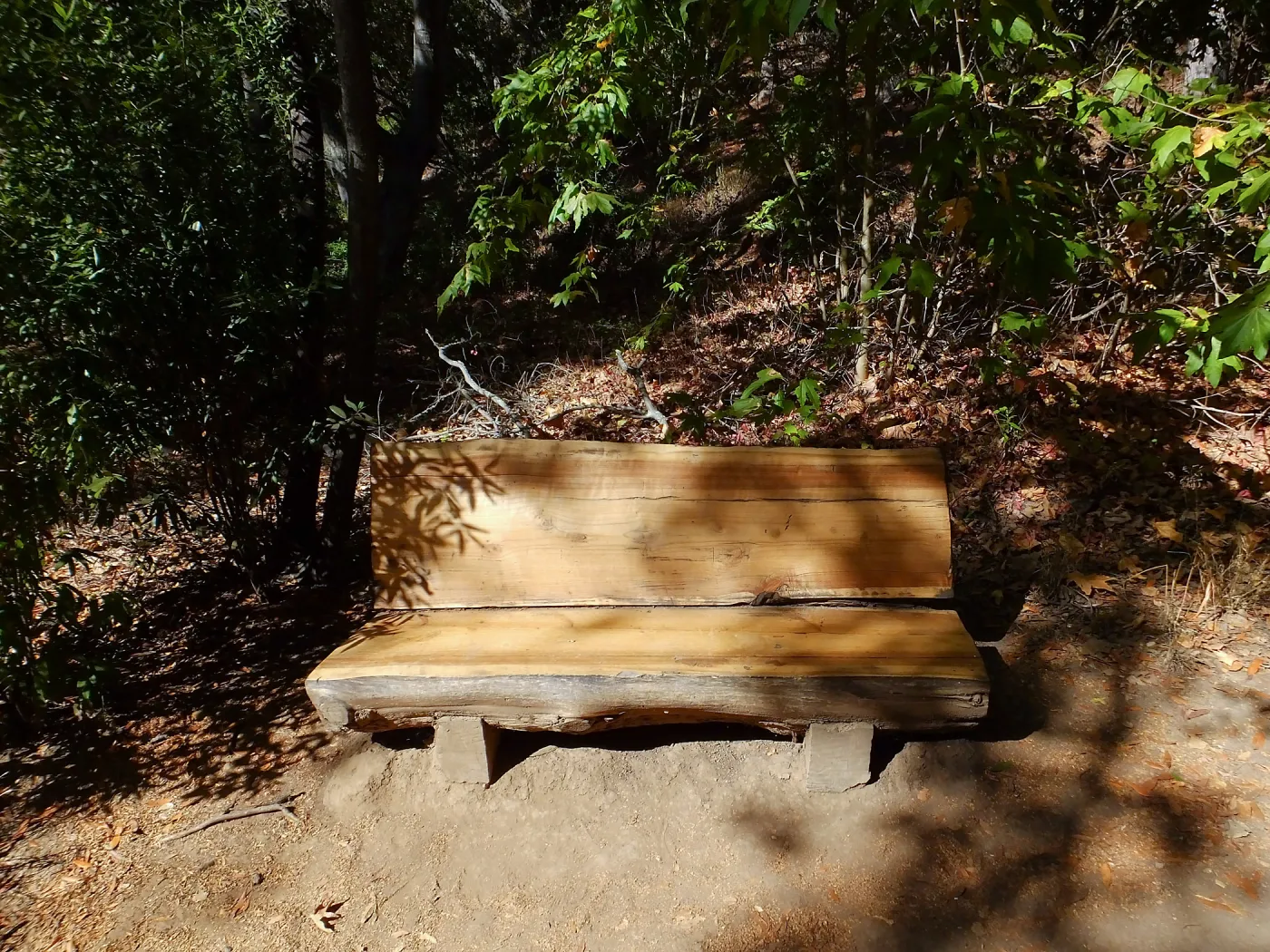 Refinished bench on Canyon Trail