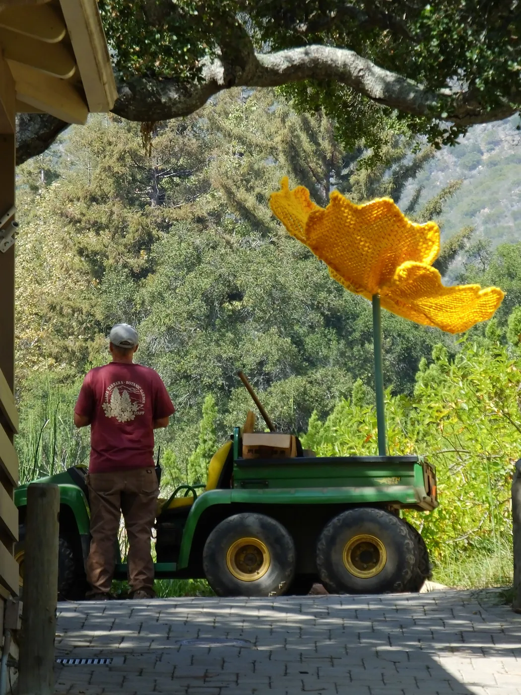 Dormant Dreams Yarn Blast, Giant California Poppy Installation