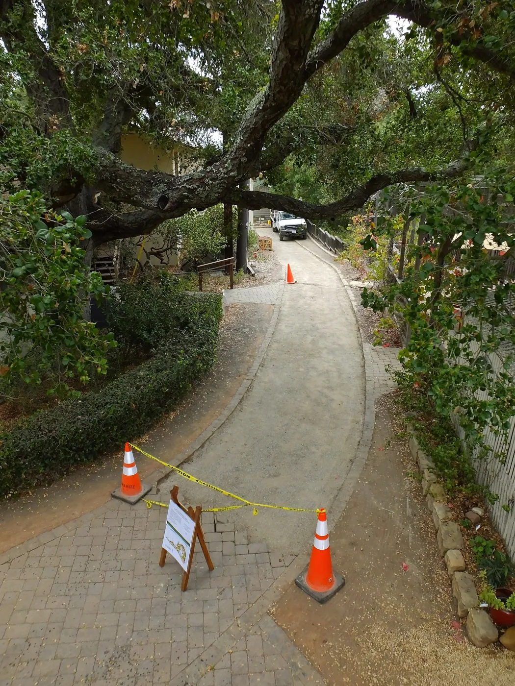 Home Demonstration Garden Renovation, looking south along path west of Herbarium, Herbarium Walkway After Demolition