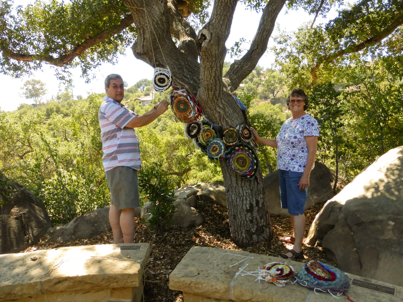 Dormant Dreams Yarn Blast Installation, Coast Oak Circles
