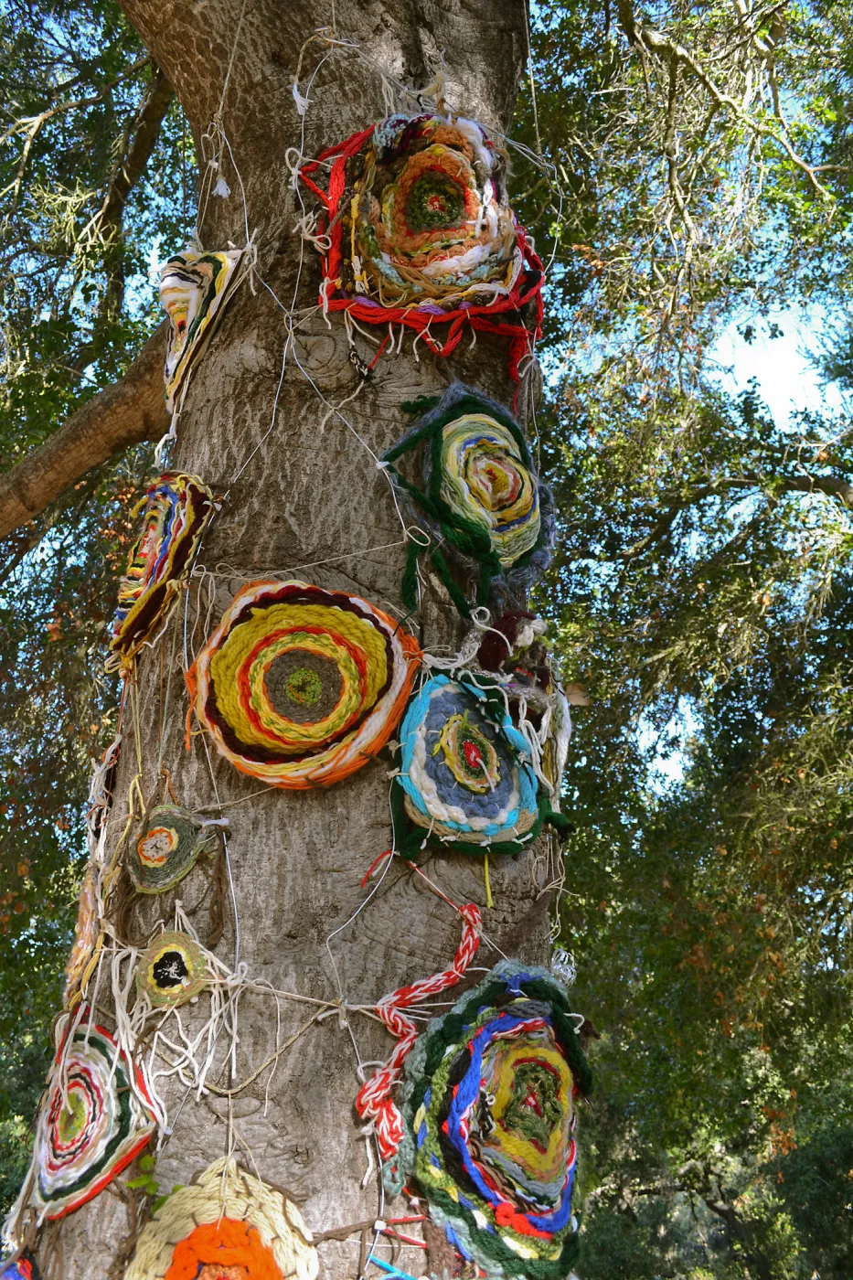 Dormant Dreams Yarn Blast, Coast Oak Circles