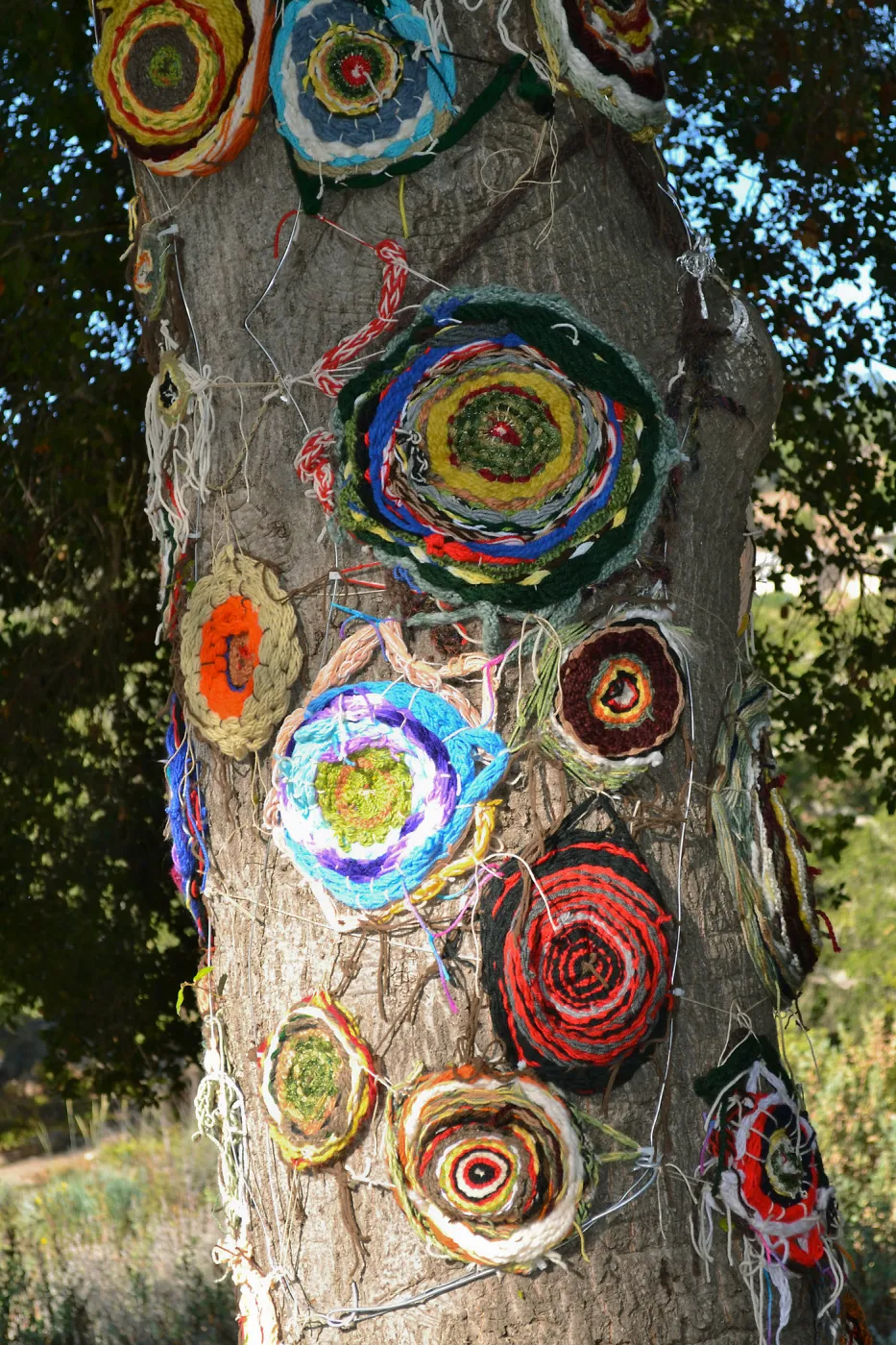 Dormant Dreams Yarn Blast, Coast Oak Circles