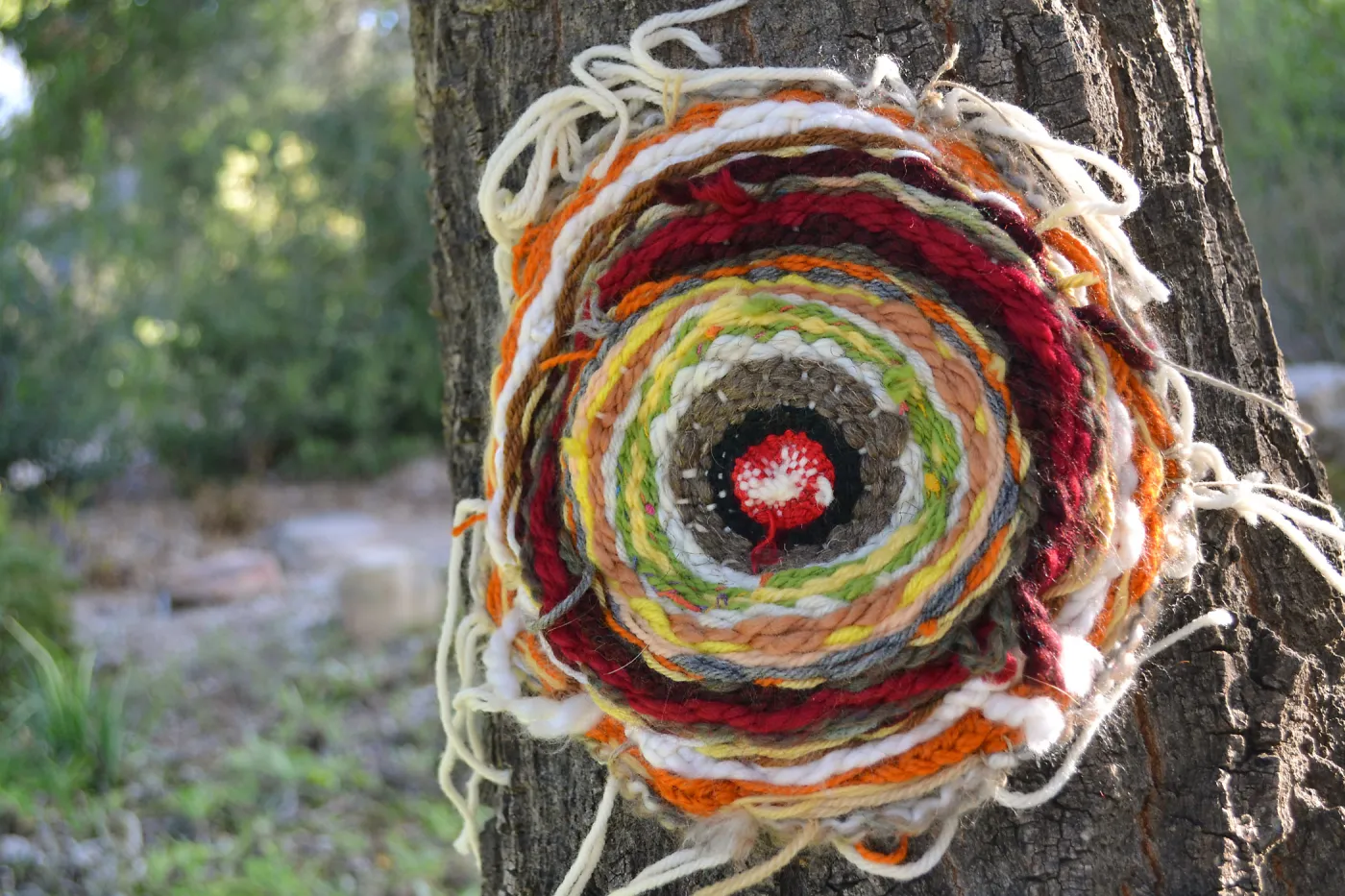 Dormant Dreams Yarn Blast, Coast Oak Circles
