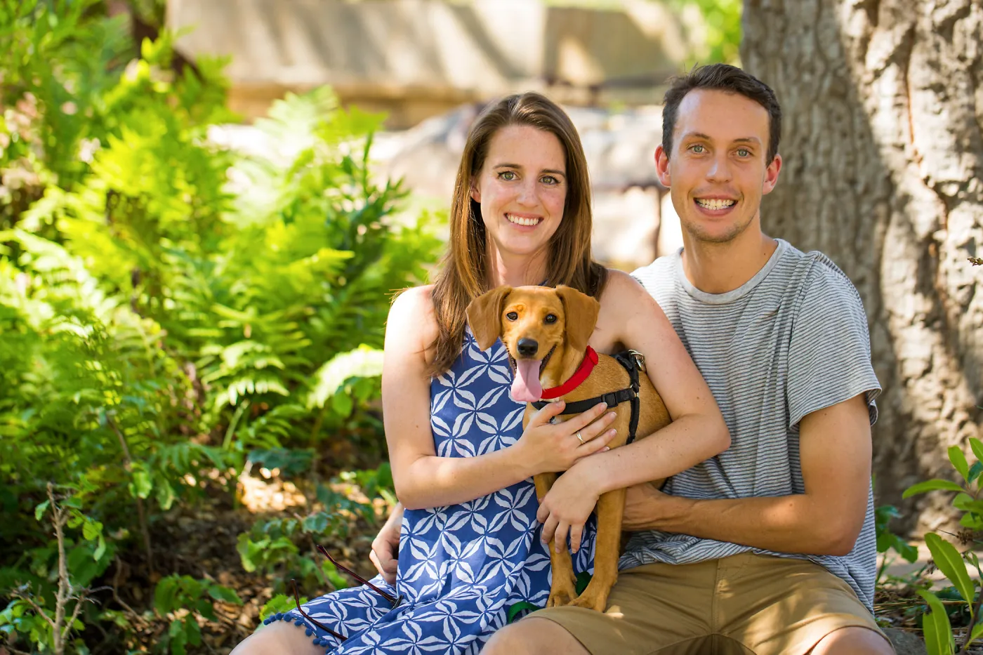 Trails n Tails 2015, dog portrait