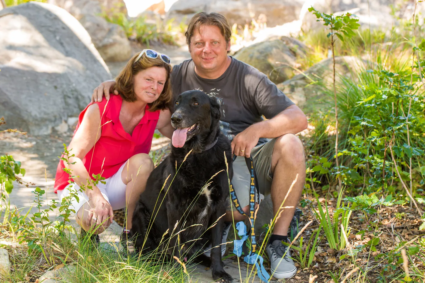 Trails n Tails 2015, dog portrait