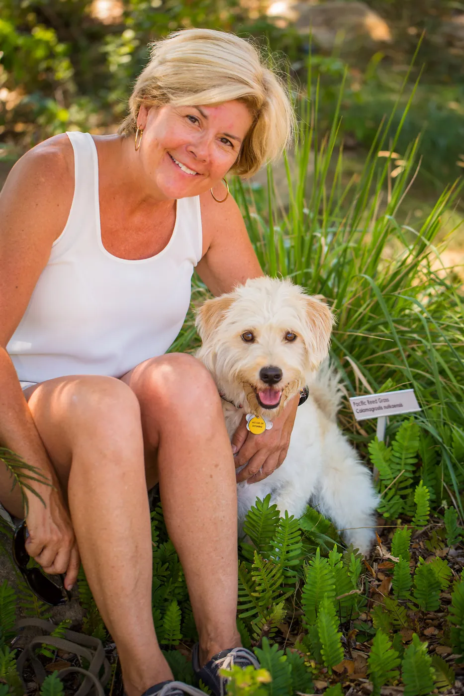 Trails n Tails 2015, dog portrait