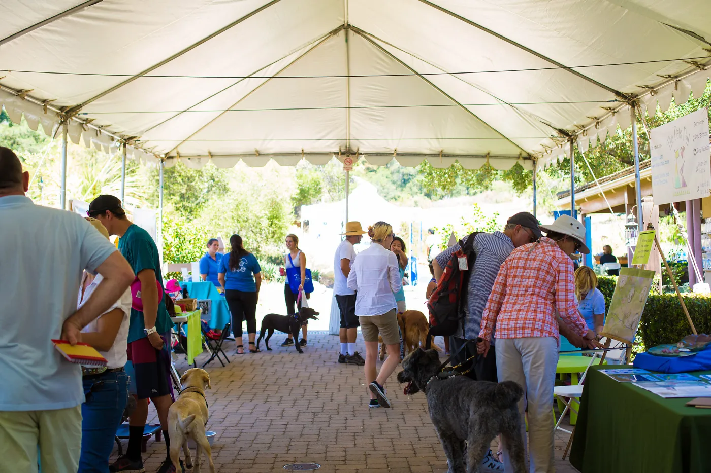 Trails n Tails 2015