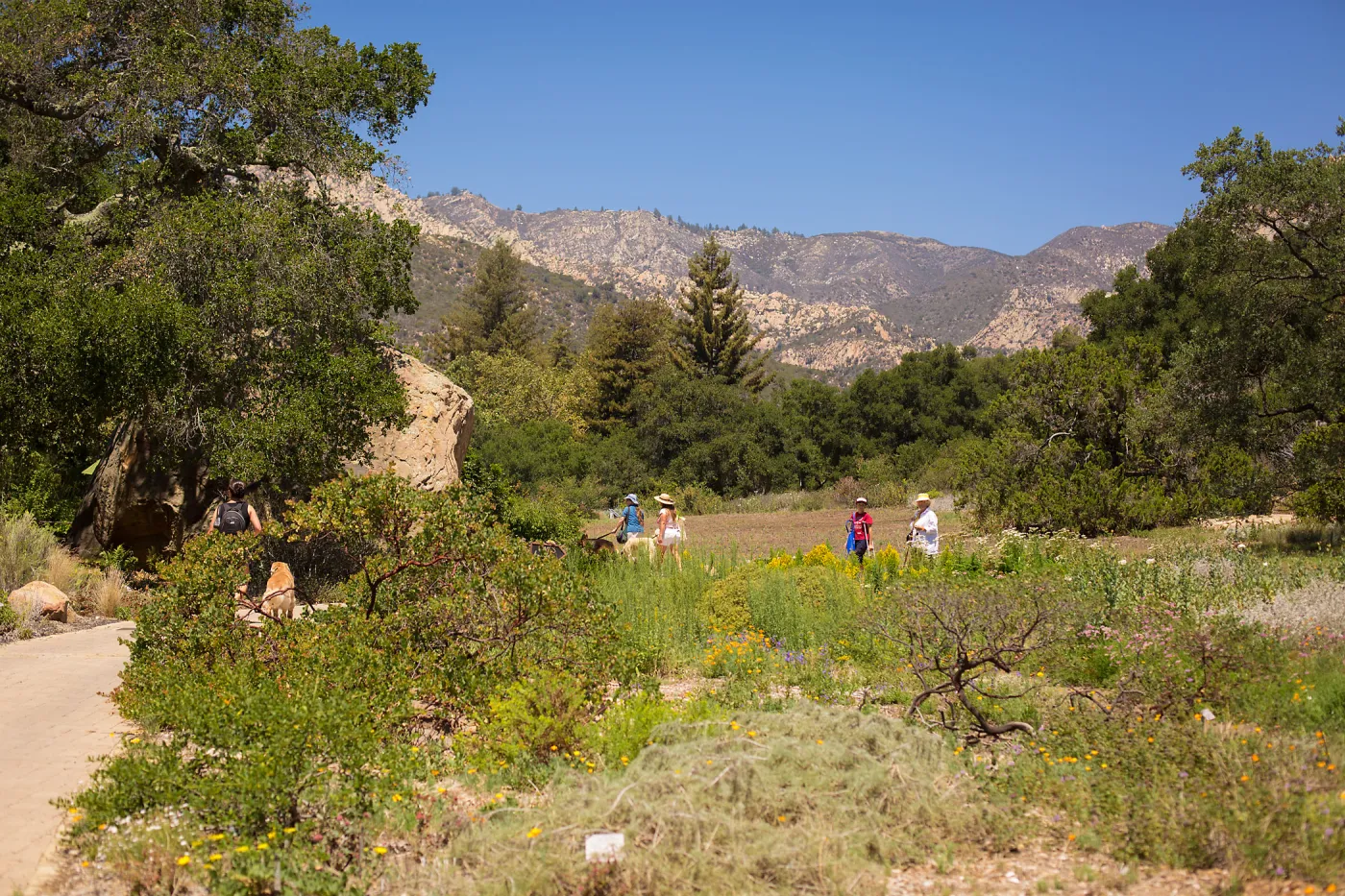 Trails n Tails 2015