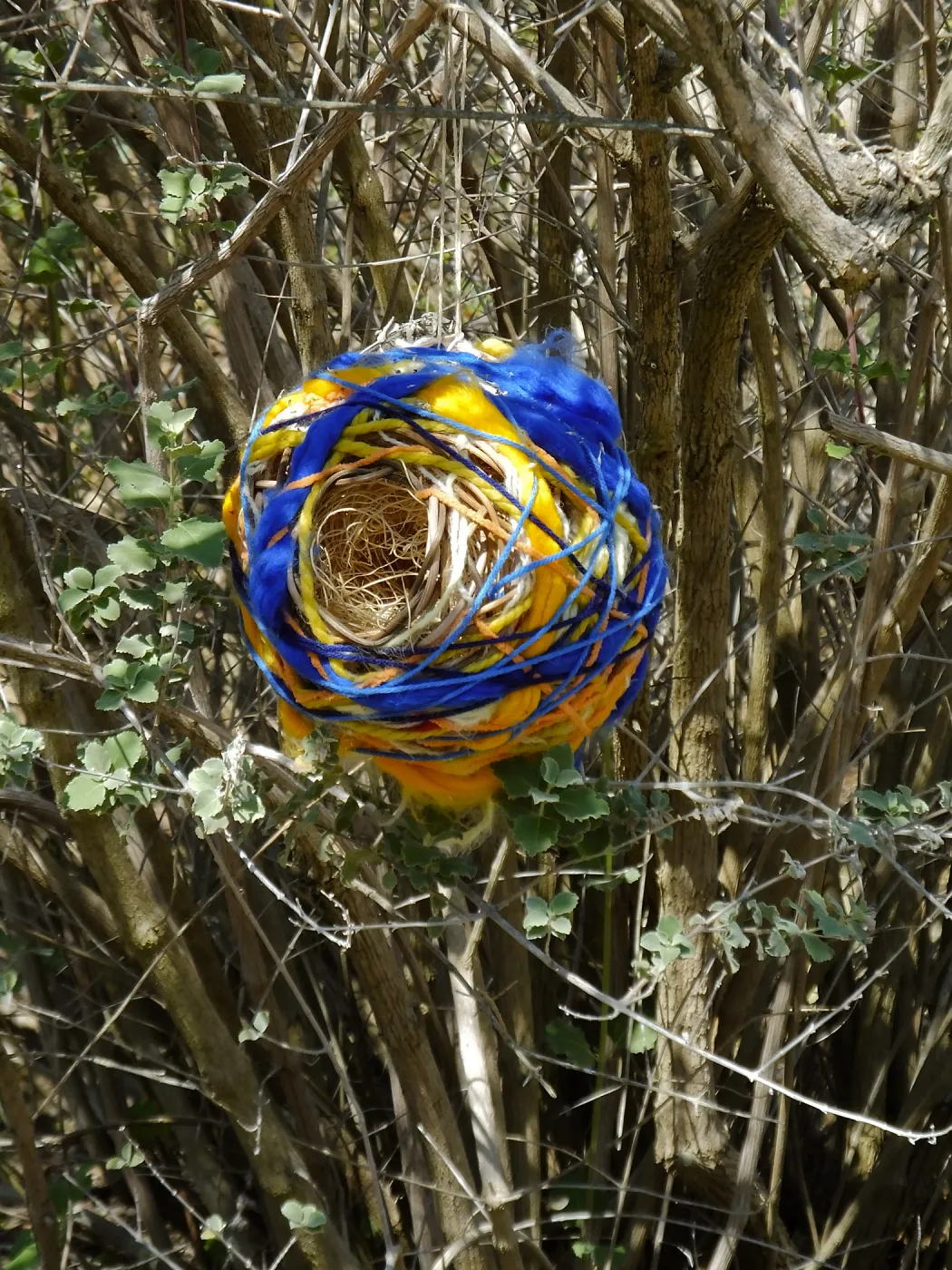 Dormant Dreams Yarn Blast, Desert Section Birds Nest