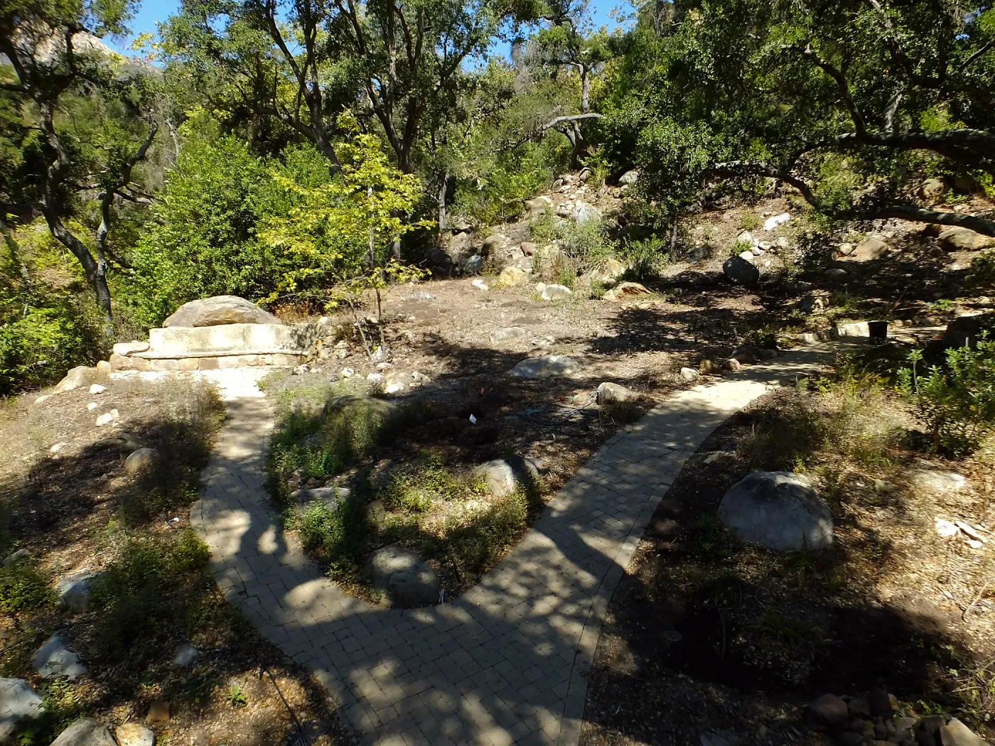Wooded Dell site preparation