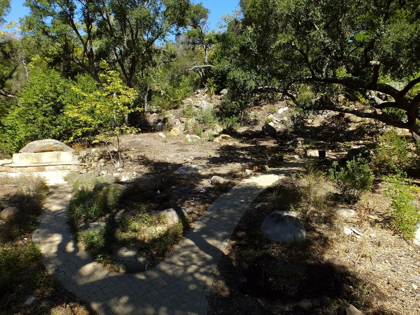 Wooded Dell site preparation