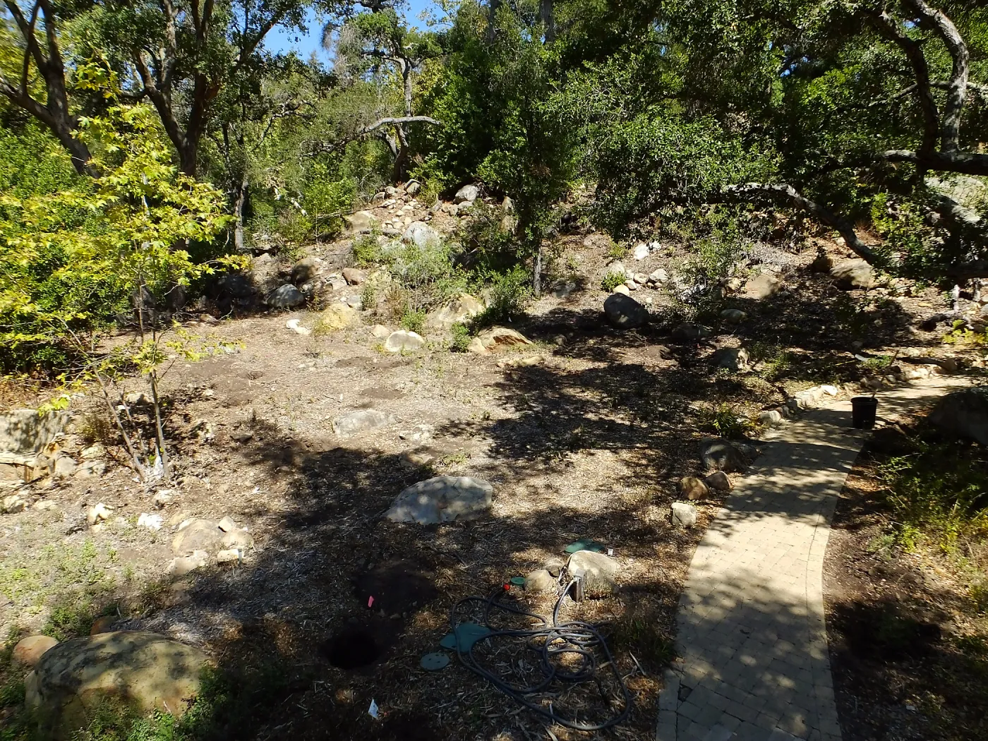 Wooded Dell site preparation
