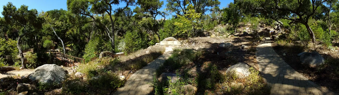 Wooded Dell site preparation, panorama with Campbell Bridge and Campbell Bench