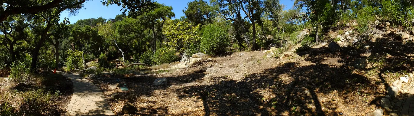 Wooded Dell site preparation panorama